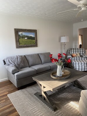 Living Room - Queen size sleeper sofa
