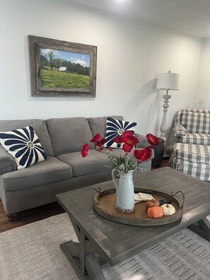Living Room - Queen size sleeper sofa