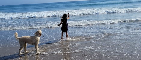 Spiaggia