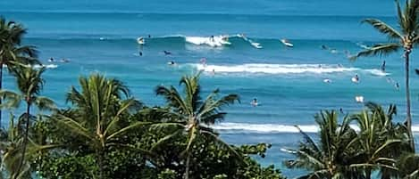 Vista para praia/oceano