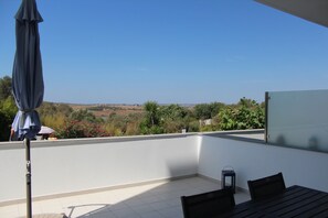 Large main terrace accessed from living area and kitchen