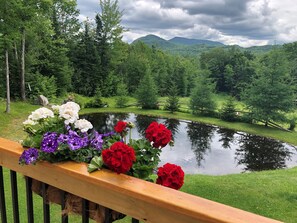 Summer view from the deck