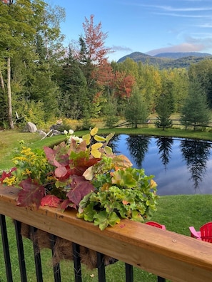 Early Fall