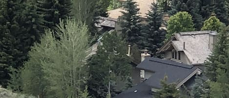 Our house from the private hiking  trail in Weyyakin development