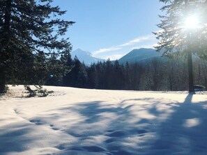 Sneeuw- en skisporten