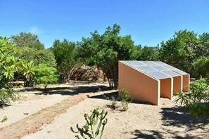 Solar Electricity