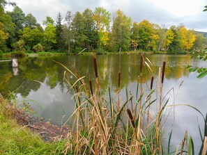 Gewässer, Natürliche Landschaft, Natur, Reflexion, Wasser, Teich, Bank, Natürlichen Umgebung, Fischteich, Vegetation