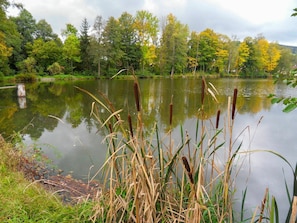 Body Of Water, Natural Landscape, Nature, Reflection, Water, Pond, Bank, Natural Environment, Fish Pond, Vegetation