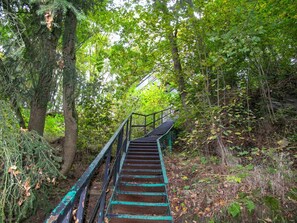 Naturschutzgebiet, Vegetation, Grün, Baum, Natürlichen Umgebung, Wald, Dschungel, Treppe, Walkway, Wald