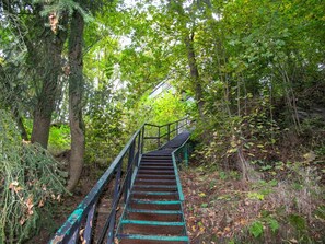 Nature Reserve, Vegetation, Green, Tree, Natural Environment, Forest, Jungle, Stairs, Walkway, Woodland