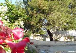 Photo non classée, 4 sur 45, bouton