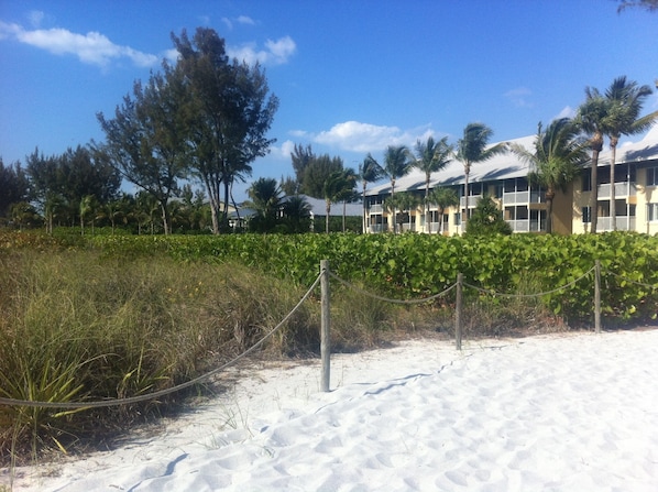 Plantation Beach Club Unit directly on beach and Gulf within South Seas Resort
