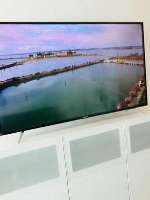 Television