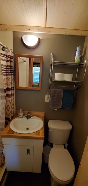 Bathroom, across from Kitchen