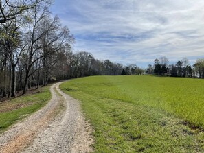 The drive up...