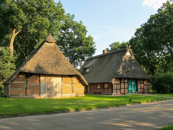 Dachdecken, Haus, Zuhause, Eigentum, Hütte, Dach, Gebäude, Bauernhaus, Ländliches Gebiet, Gras