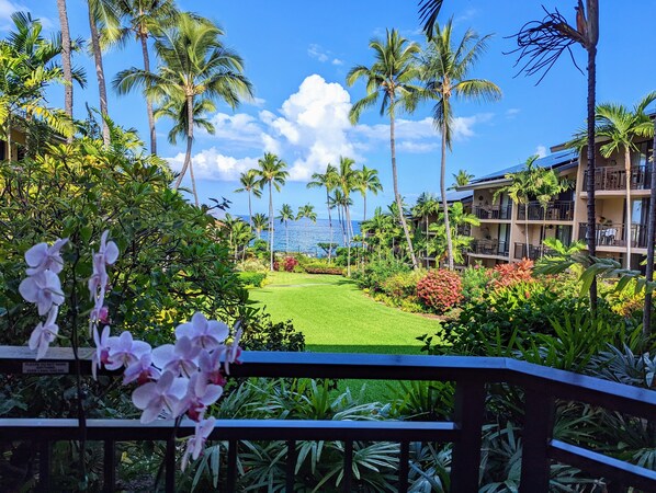 actual view from lanai