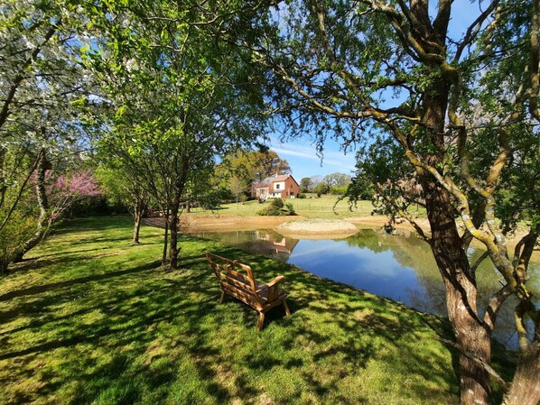 Boendeområde