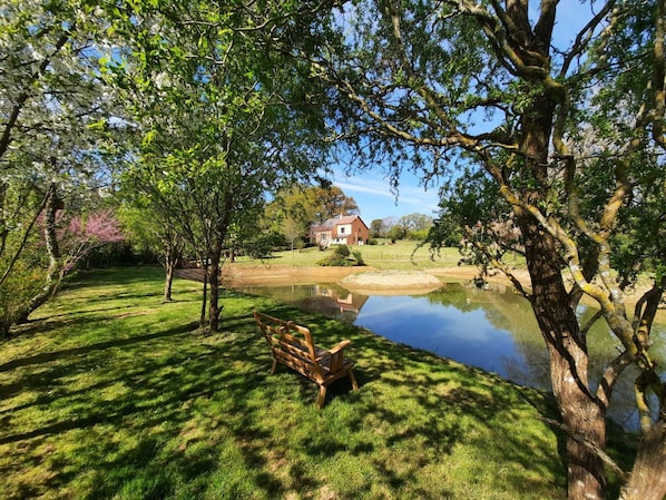 Petite promenade autour de l'étang