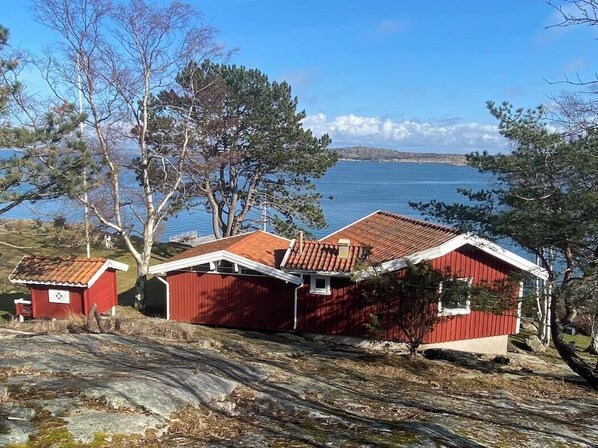 Exteriör