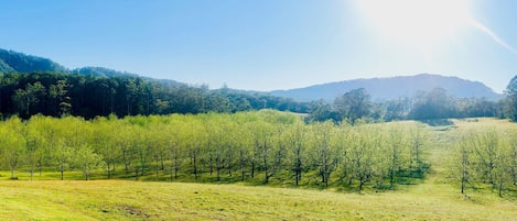 Terrenos do alojamento