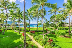 Beach Lawn fronting Ocean Villas