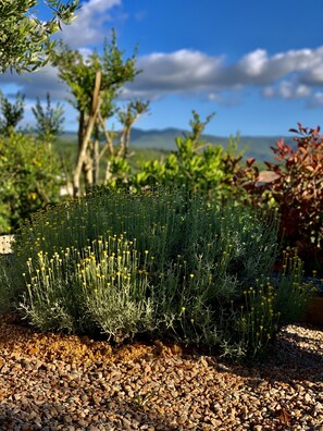 Terrain de l’hébergement 