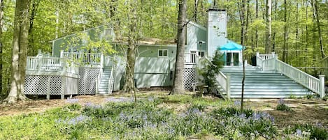 Beautiful lakefront retreat in the trees surrounded by pristine nature.