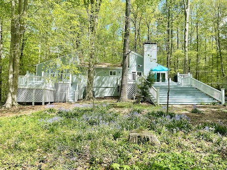 Beautiful lakefront retreat in the trees surrounded by pristine nature.