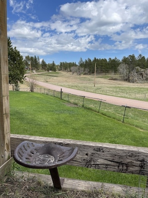 View from back firepit area. Looking onto horse pasture over American Center Rd