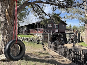 Firepit area and swing
