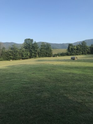 View of the Blue Ridge from front porch.
