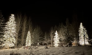 Our beautiful winter wonderland!
