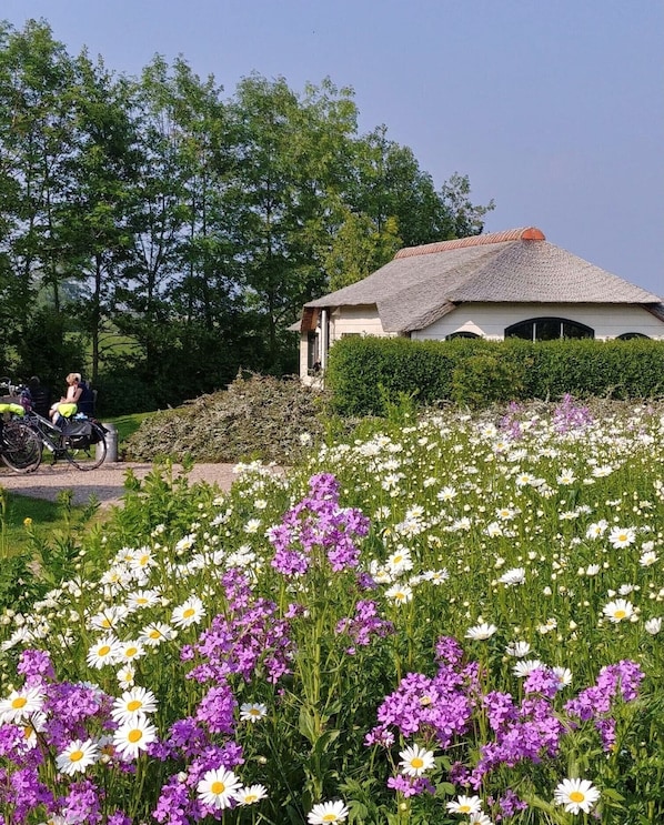 Boendeområde