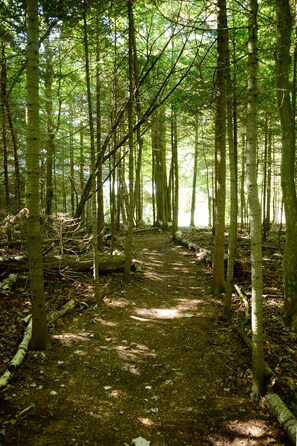 Wooded private trail to the beach!