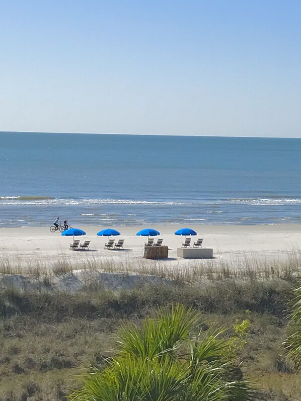Direct Ocean Views!