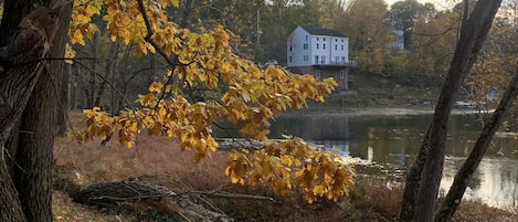 Overnatningsstedets område