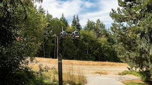 Terrain de sport