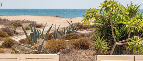 Playa