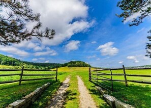 Experience the beauty of the Laurel Highlands. Book your mountain getaway today.
We offer the most unique collection of vacation homes in Laurel Highlands. From a cozy couple's getaway to a sprawling 400-acre private retreat, we have the perfect accommodations for your destination getaway.