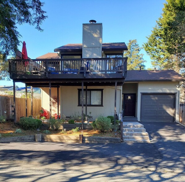 Welcome to the Cozy Cambrian!