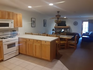 Kitchen/Living Room 