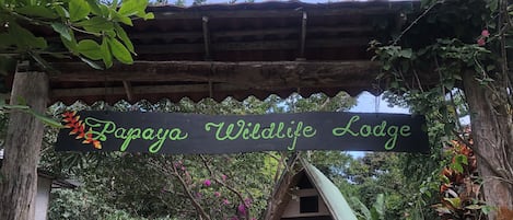 Papaya Wildlife Lodge