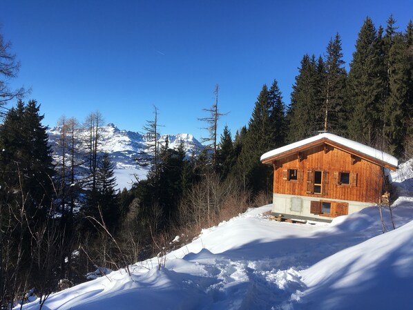 Exteriör