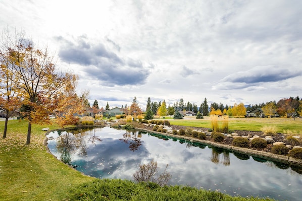 Gorgeous views | Exterior