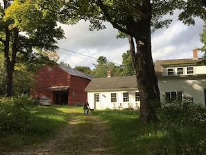 House front, with barn. Summer.