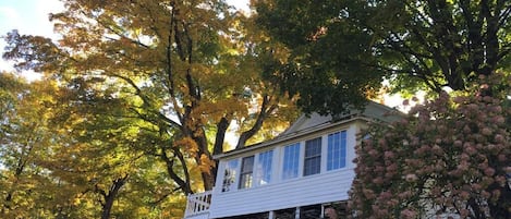 Looking up at the three season room. Fall.