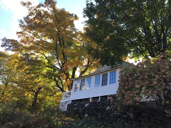 Looking up at the three season room. Fall.