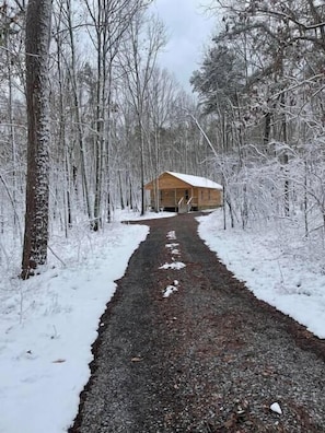 Deer Trail in the Snow