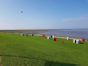 Strand Friedrichskoog-Spitze